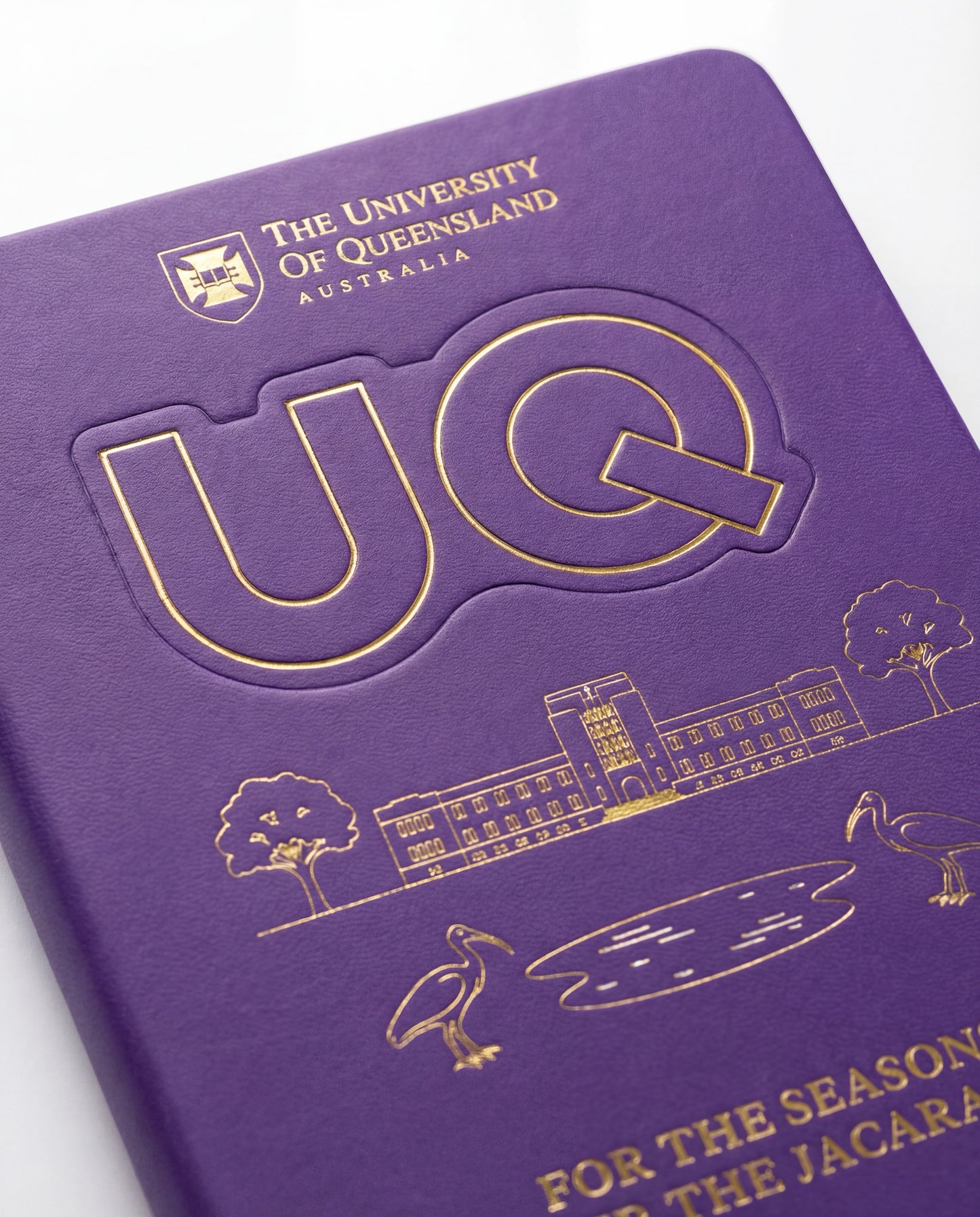 Under Jacaranda UQ Memory Set